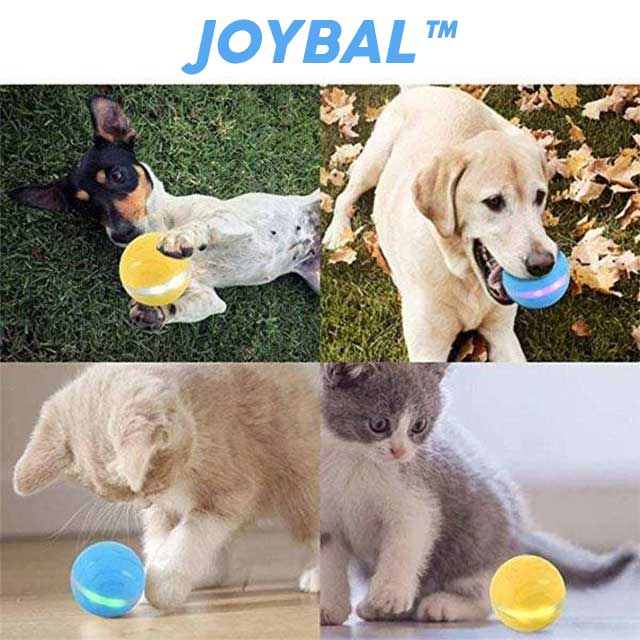 Gadgets d'Eve animaux de compagnie JOYBAL™: Balle Animée Intelligente pour Animaux De Compagnie