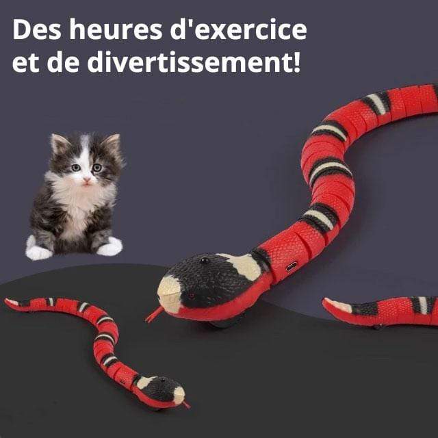 Gadgets d'Eve animaux de compagnie SNOY™ : Jouet Serpent Interactif pour Animaux de Compagnie
